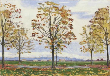Chestnut Avenue near Biberist